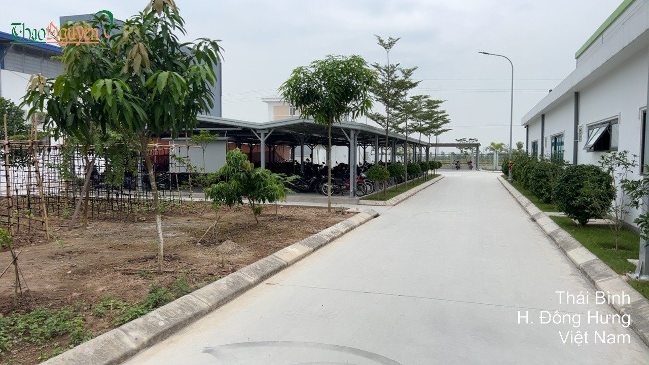 Tiêu chuẩn 4